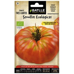 Semillas tomate gigante ECO